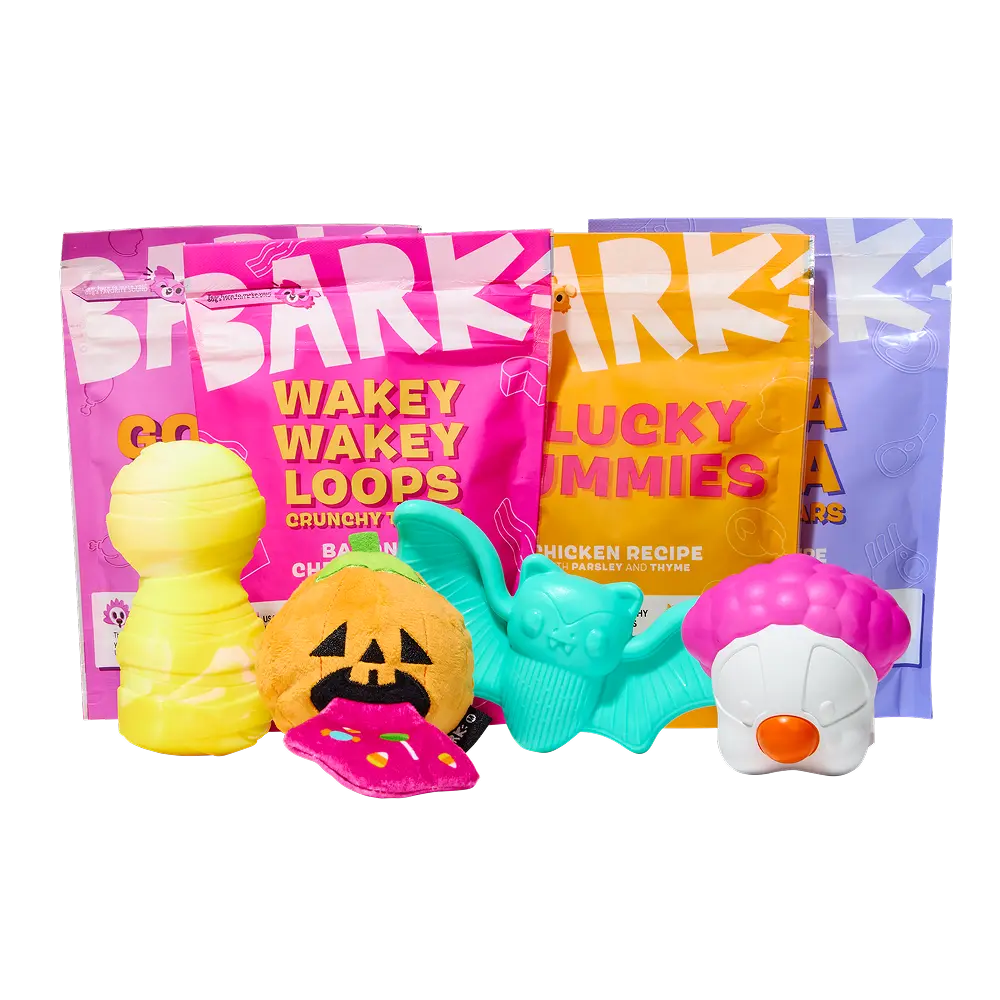 BARK Monthly Subscription + Cardboard Box - Image 7