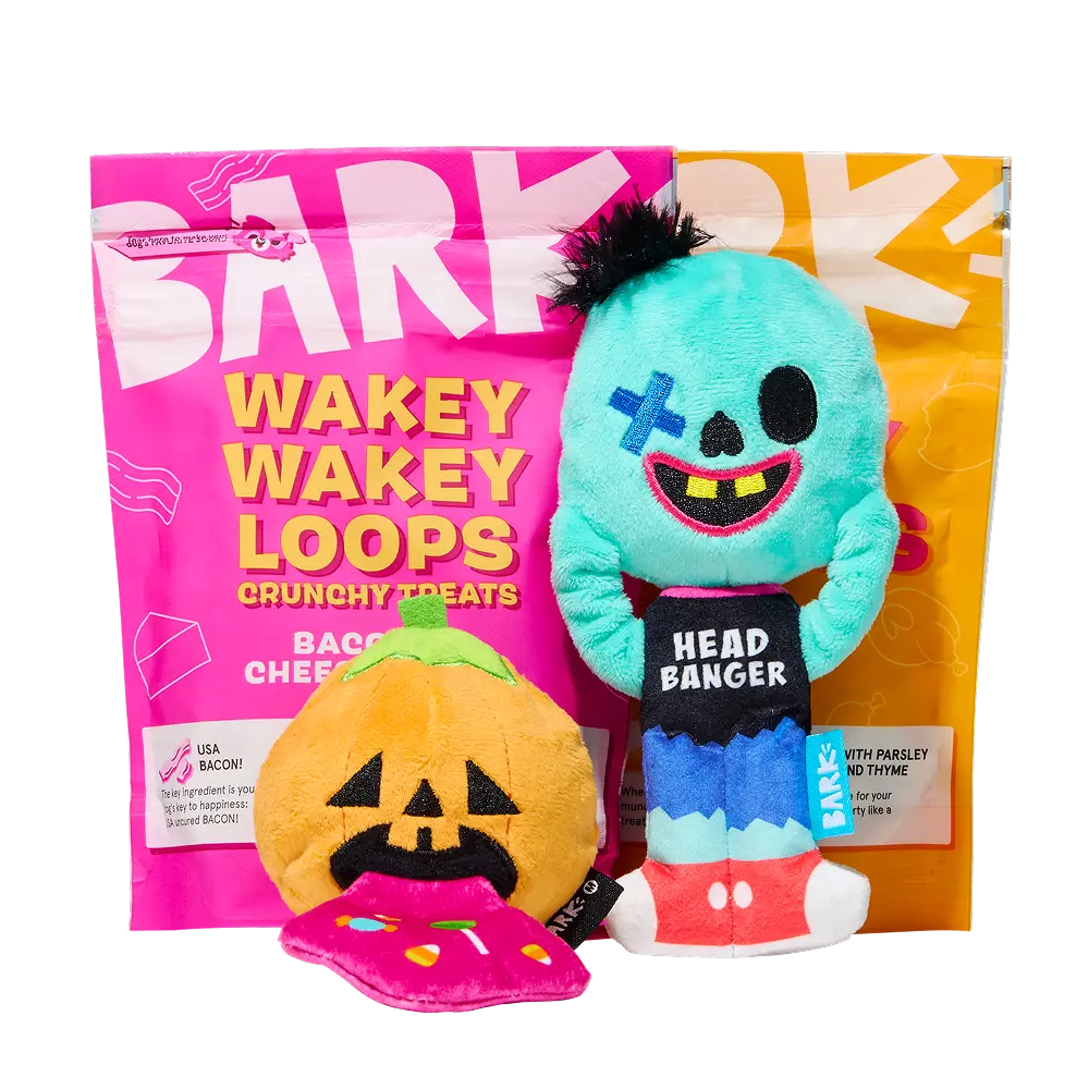 BARK Monthly Subscription + Cardboard Box - Image 9