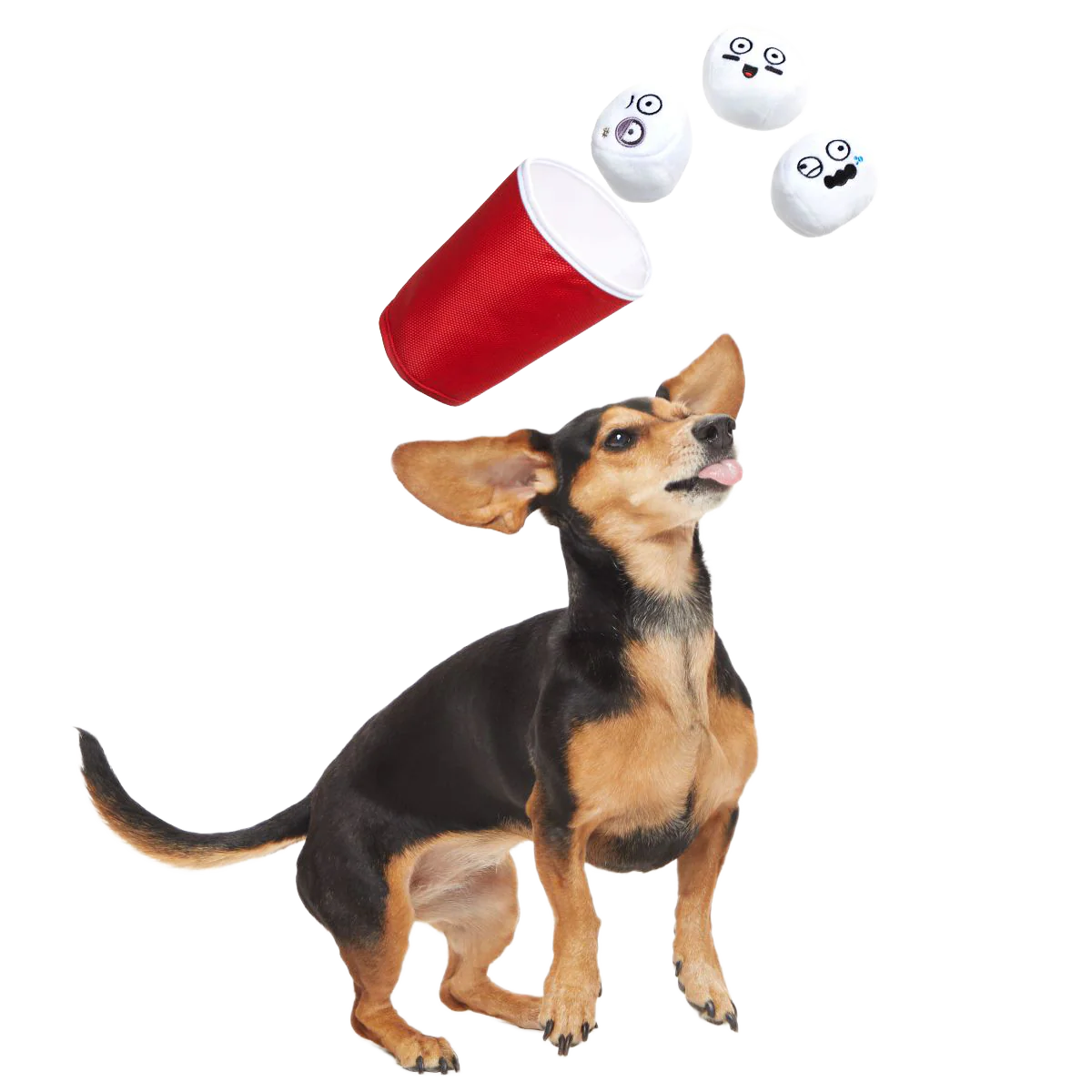 Bark Pong Cup Plush Multi-Part + Fetch Dog Toy - Image 2