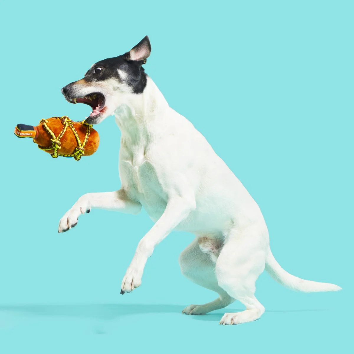 Barkbeard's Rum - Image 3
