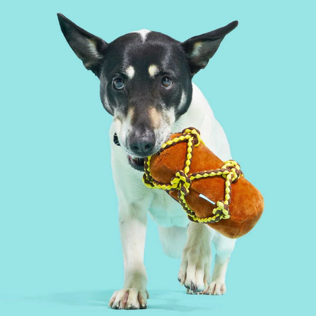 Barkbeard's Rum - Image 4
