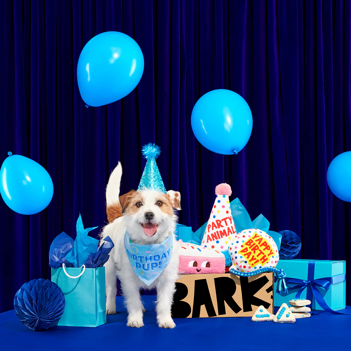 Birthday BarkBox (Toy-Only) - One Month Gift Box - Image 10
