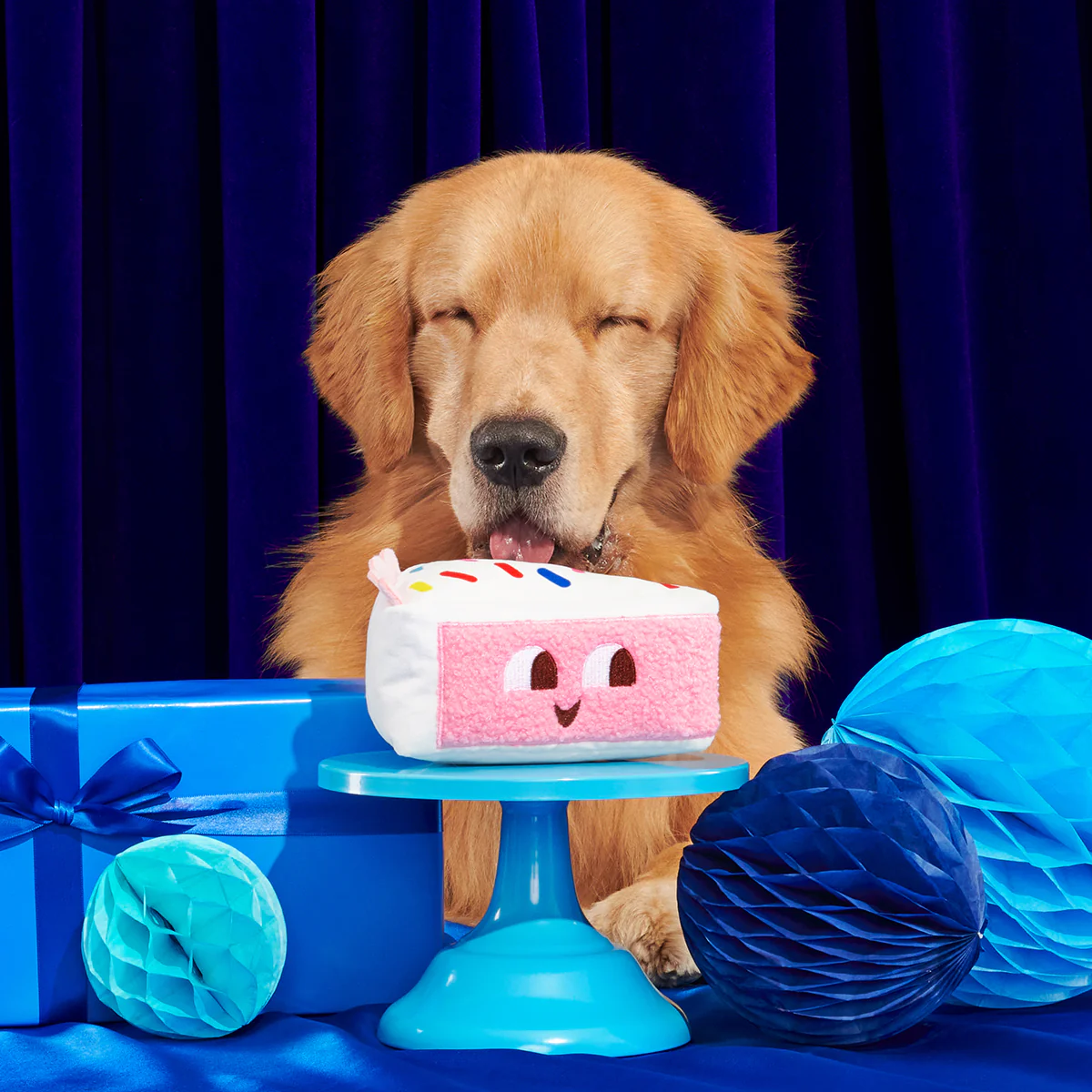 Birthday BarkBox (Toy-Only) - One Month Gift Box - Image 14