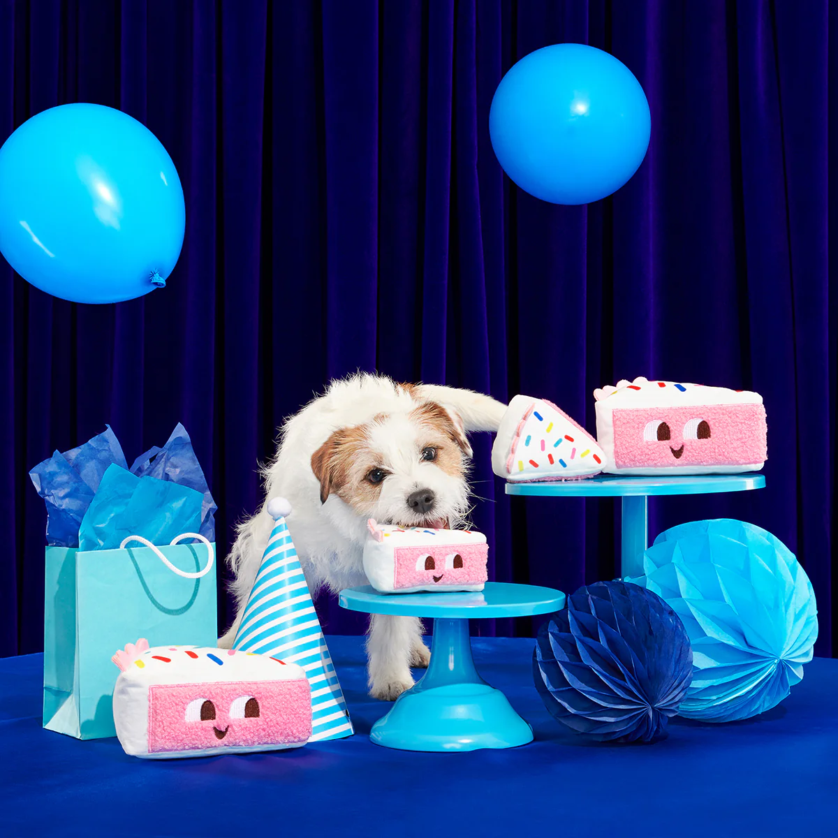 Birthday BarkBox (Toy-Only) - One Month Gift Box - Image 15