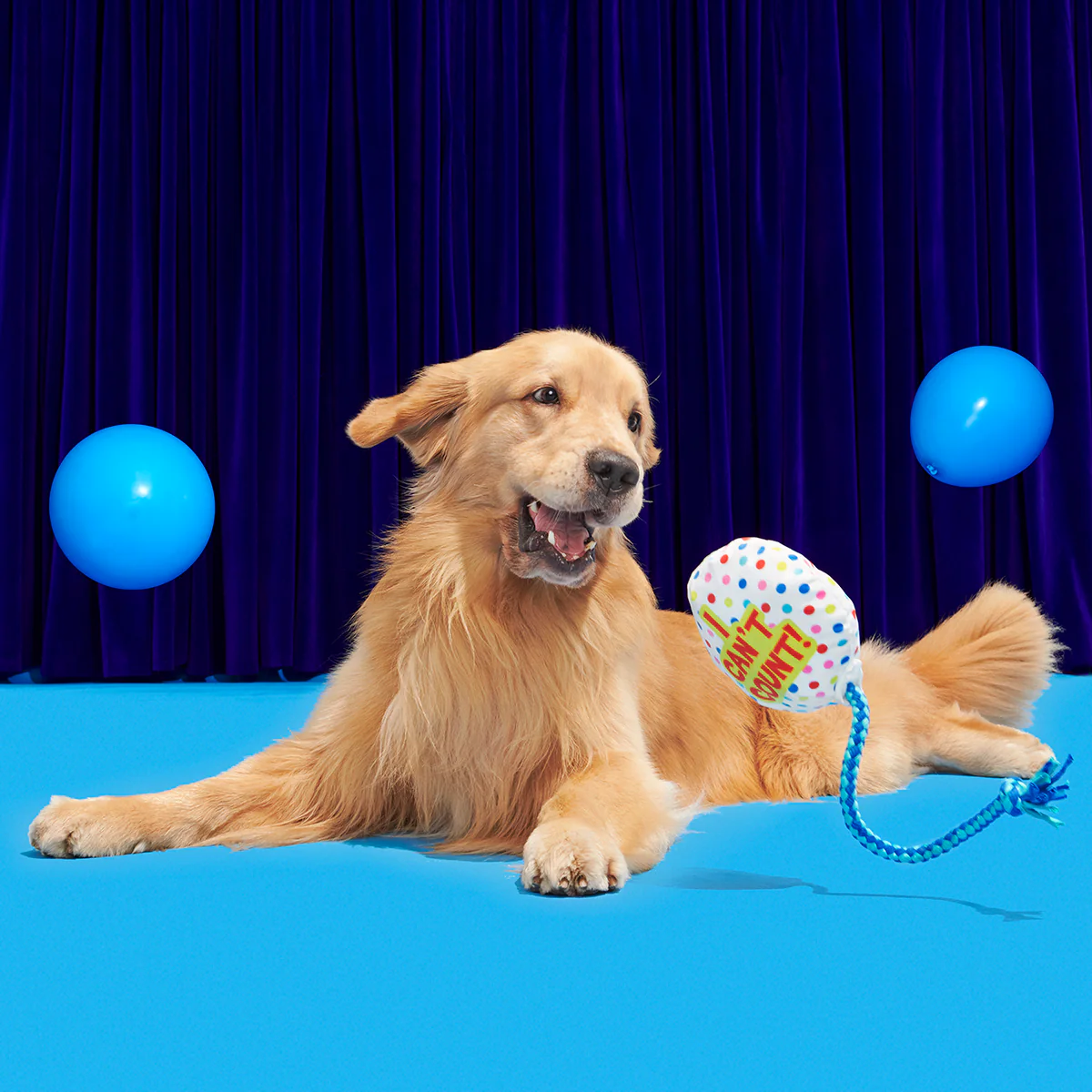 Birthday BarkBox (Toy-Only) - One Month Gift Box - Image 17