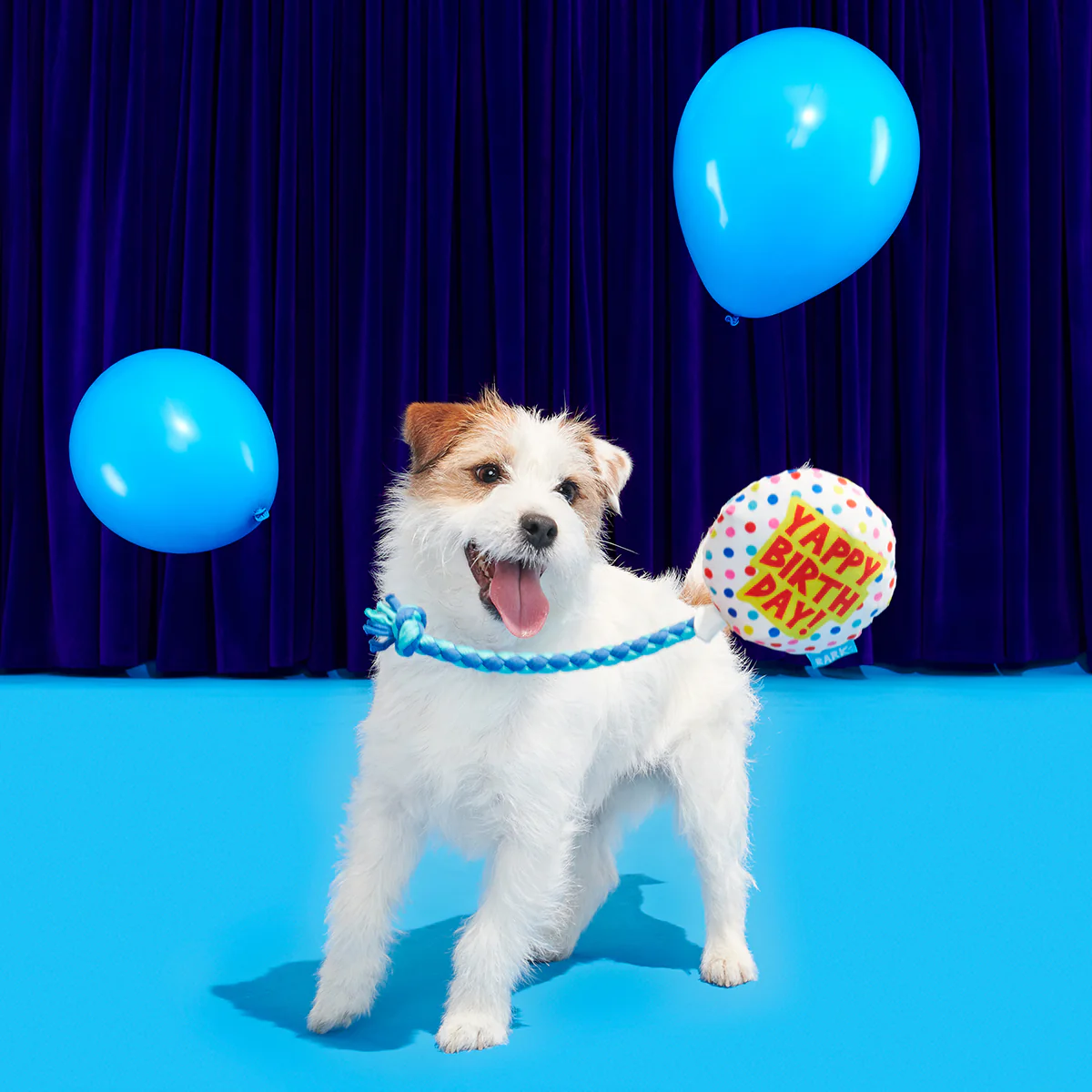 Birthday BarkBox (Toy-Only) - One Month Gift Box - Image 18
