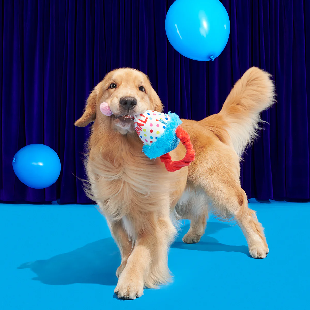 Birthday BarkBox (Toy-Only) - One Month Gift Box - Image 20