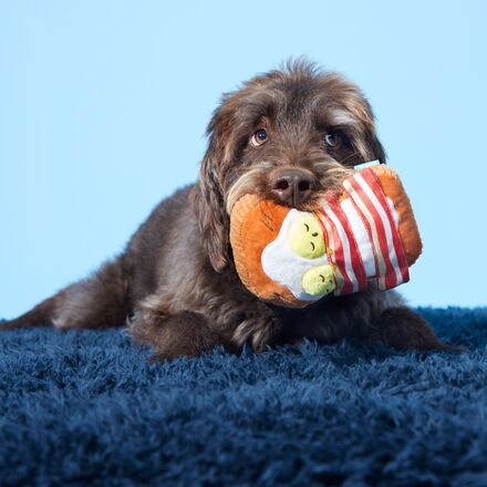 Barkfest In Bed - Image 3
