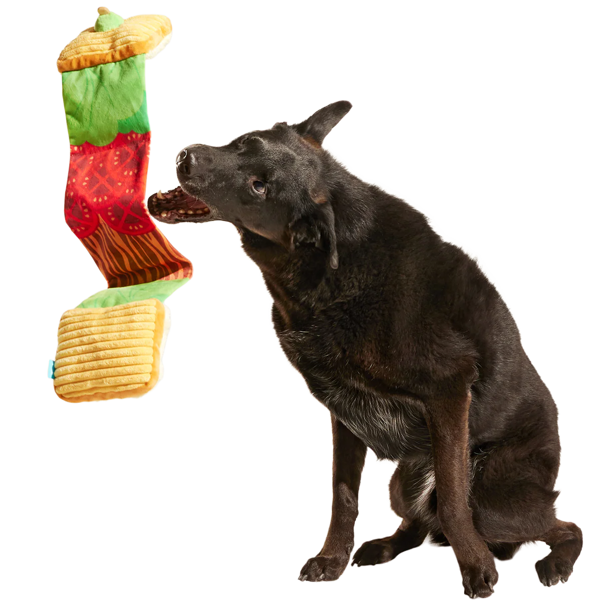 Barkin, Lettuce & Tomutto Plush Tug Dog Toy - Image 3