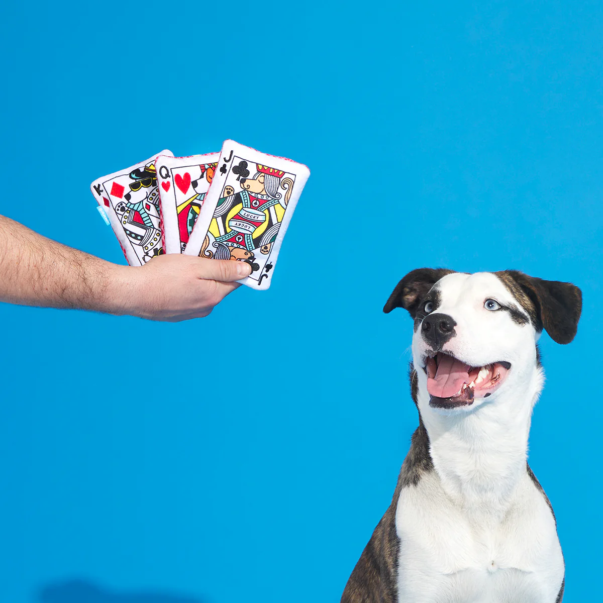 Barkjack - Image 2