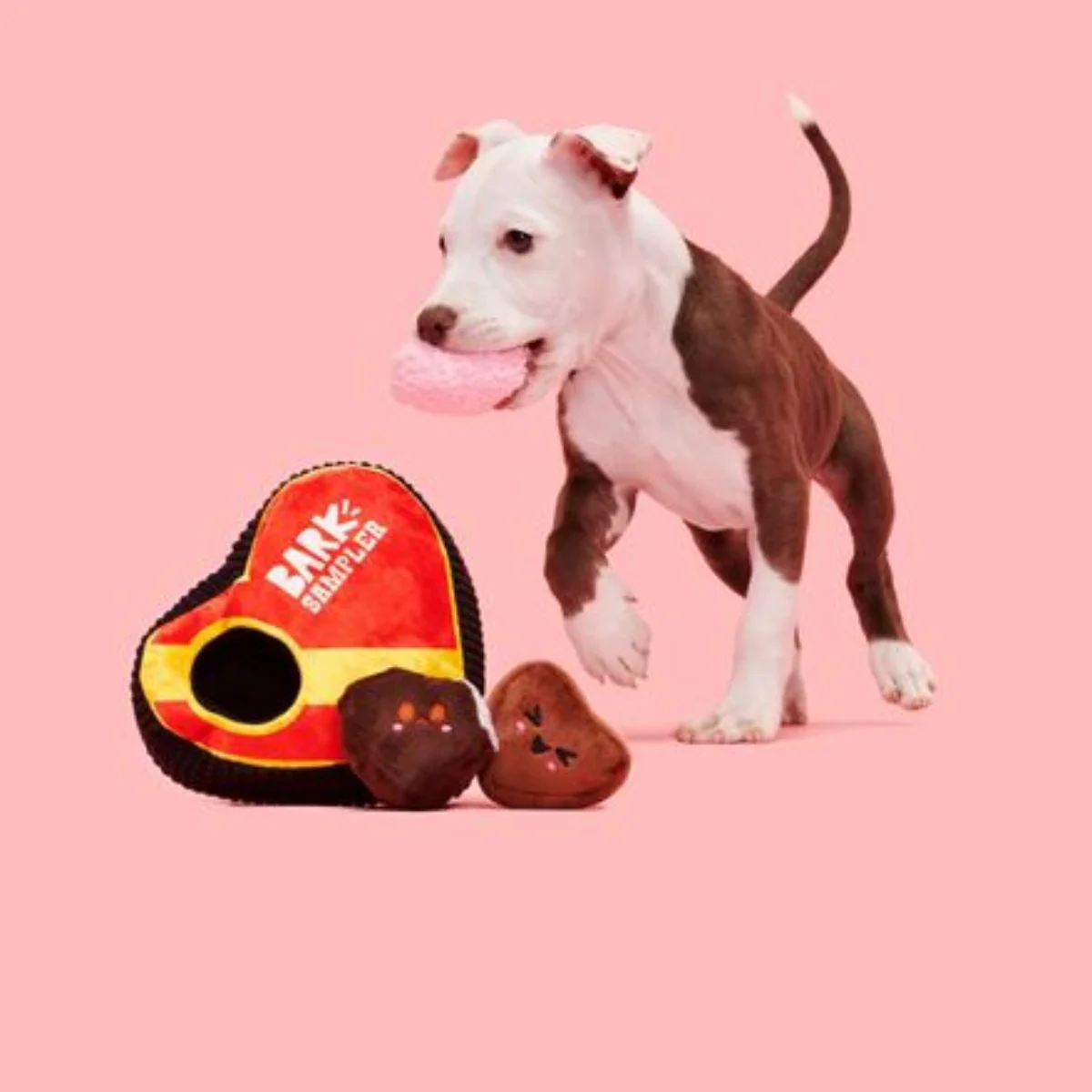 Barks of Chocolates Plush Multi-Part + Enrichment Dog Toy - Image 5