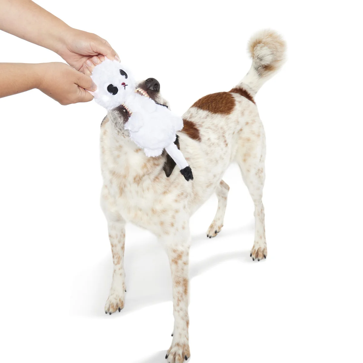 Barktic Weasel Durable Super Chewer Tug Dog Toy - Image 5
