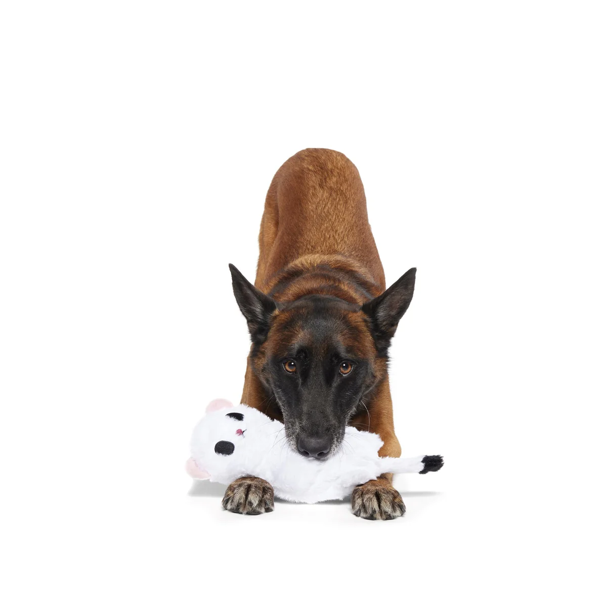 Barktic Weasel Durable Super Chewer Tug Dog Toy - Image 6