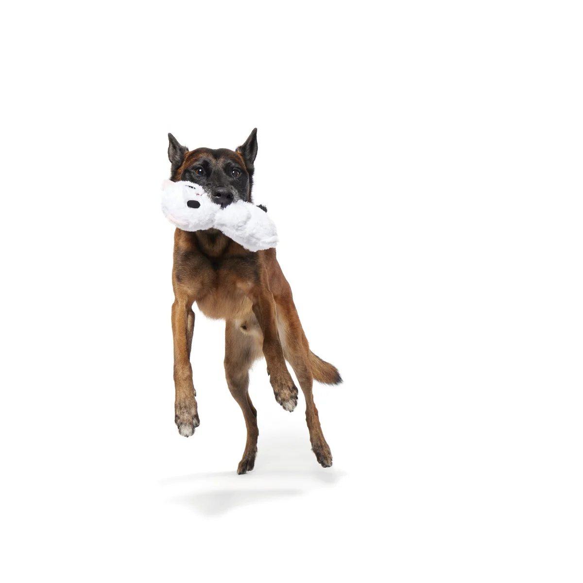 Barktic Weasel Durable Super Chewer Tug Dog Toy - Image 7