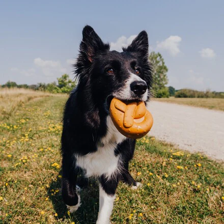 Barkvarian Pretzel Durable Super Chewer Dog Toy - Image 4