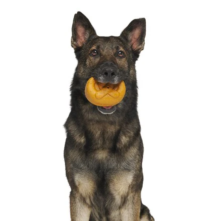 Barkvarian Pretzel Durable Super Chewer Dog Toy - Image 5