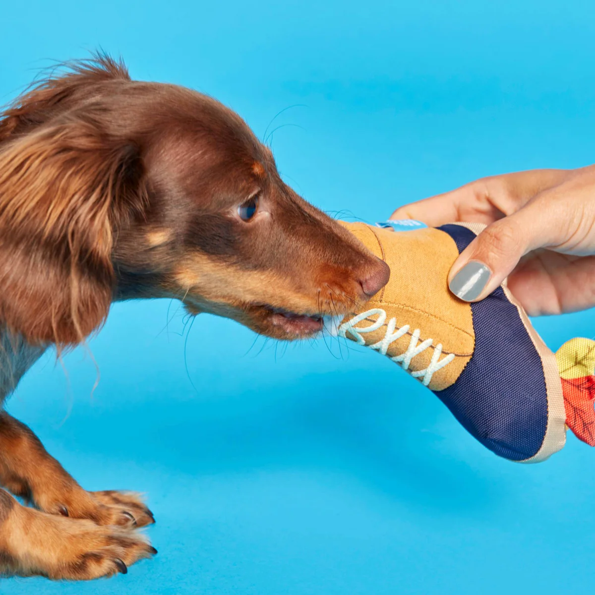 Barkwoods Boot Plush Tug Dog Toy - Image 4