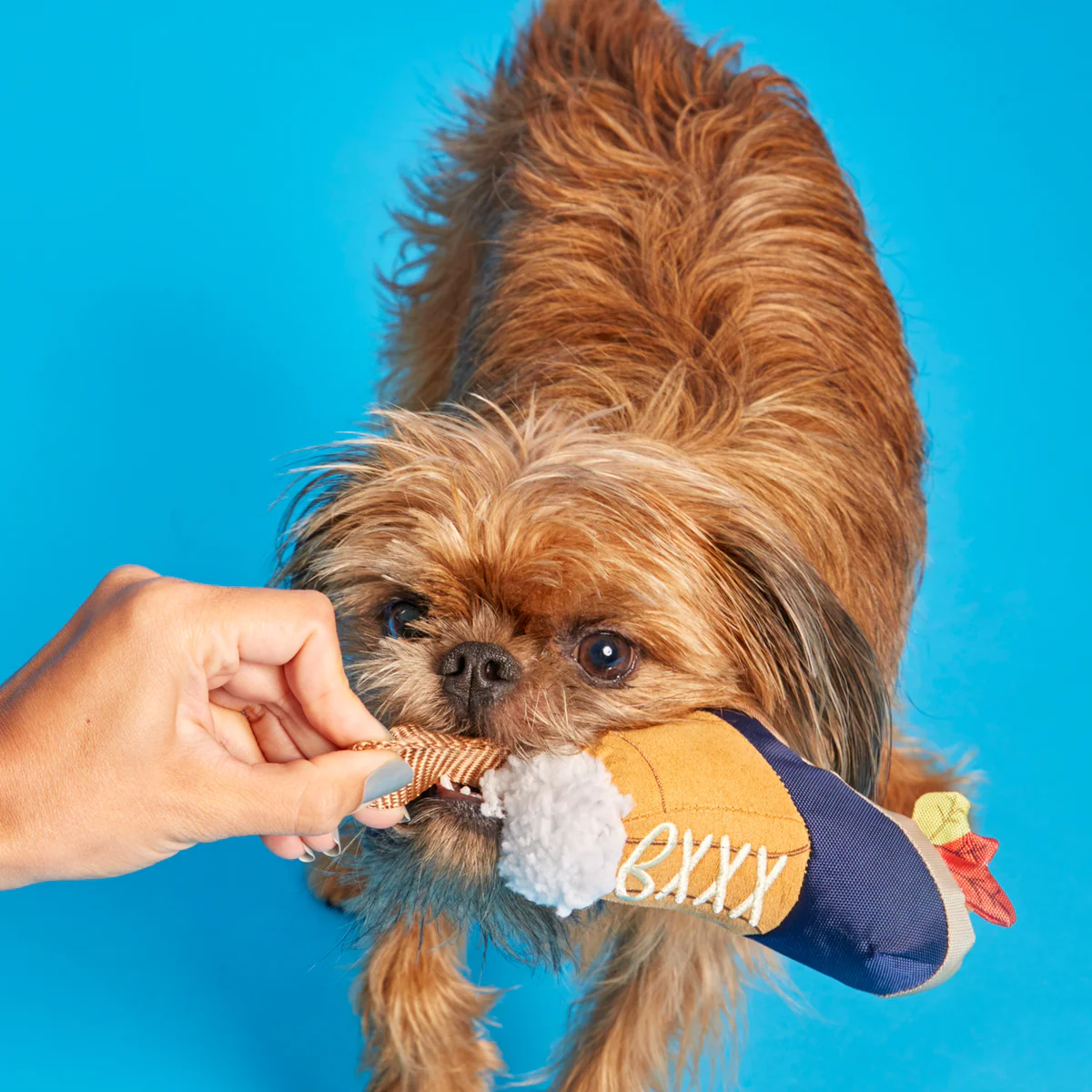 Barkwoods Boot Plush Tug Dog Toy - Image 5
