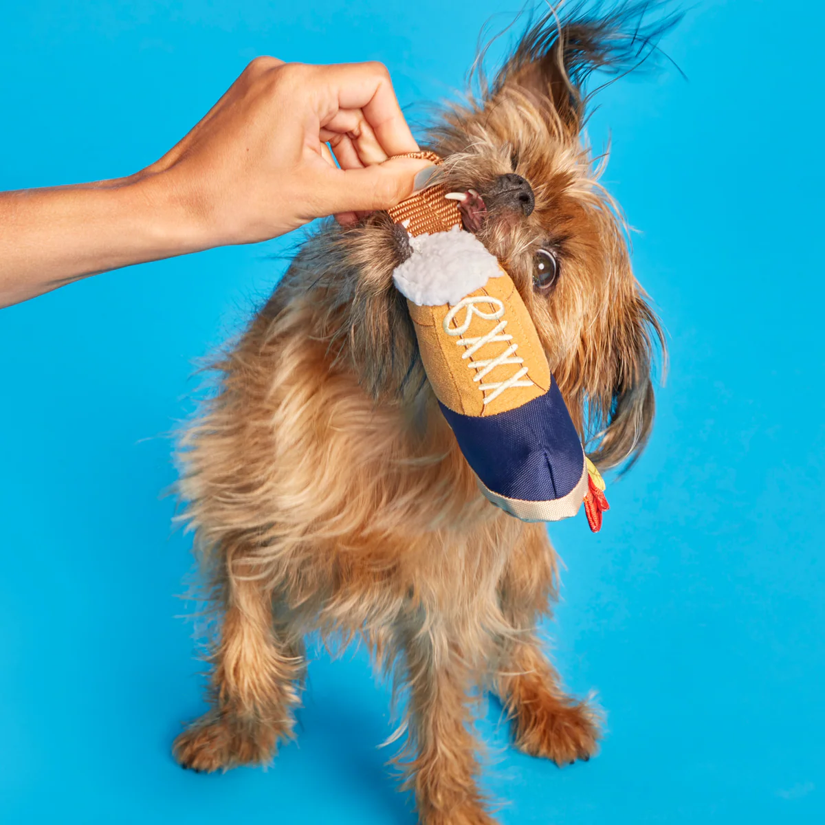 Barkwoods Boot Plush Tug Dog Toy - Image 6
