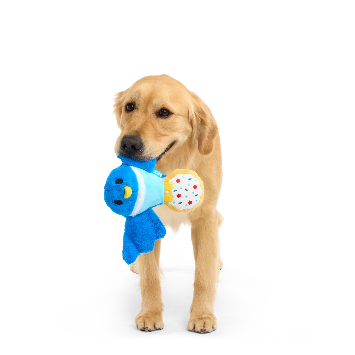 Barry the Blue Bird Plush Tug Dog Toy - Image 2
