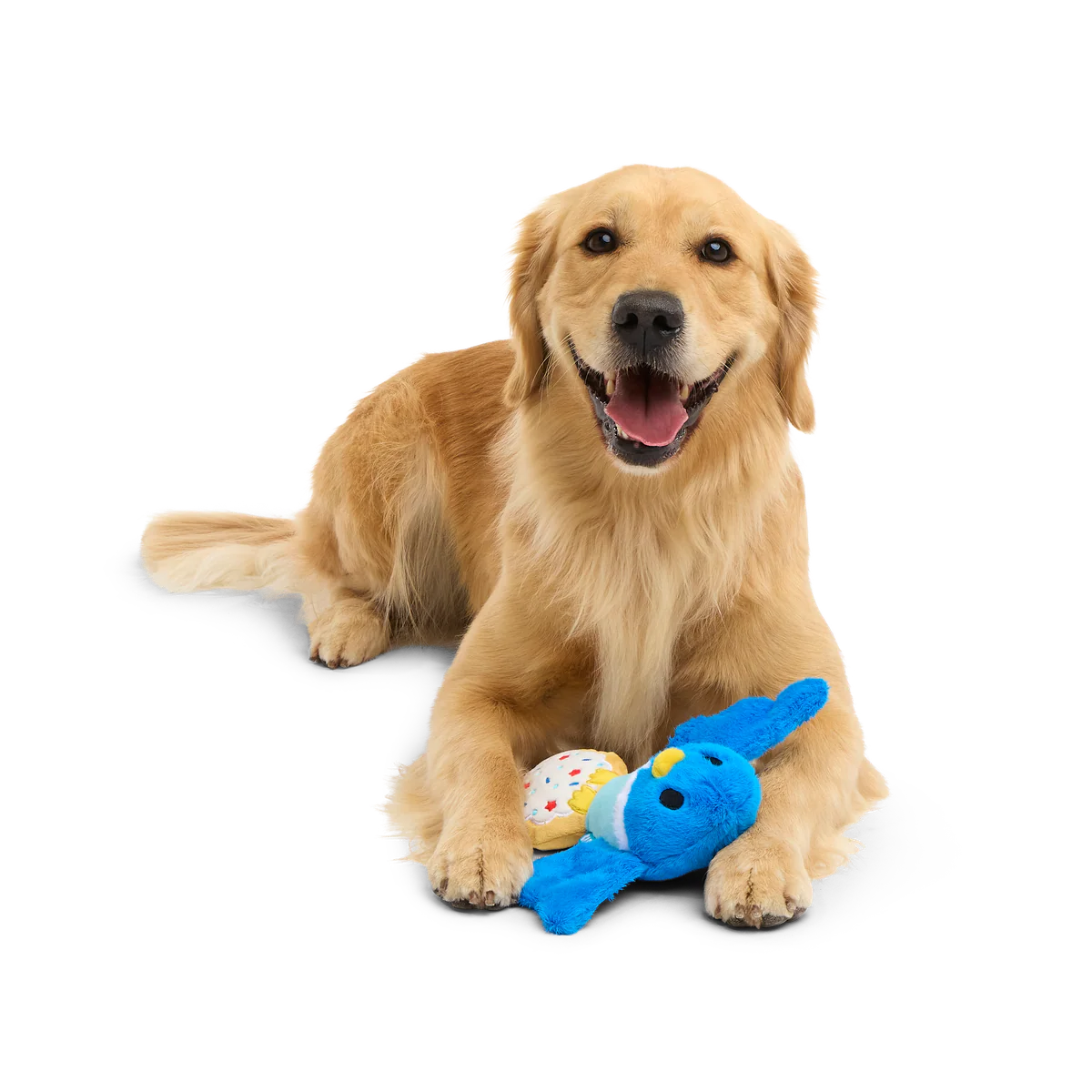 Barry the Blue Bird Plush Tug Dog Toy - Image 3