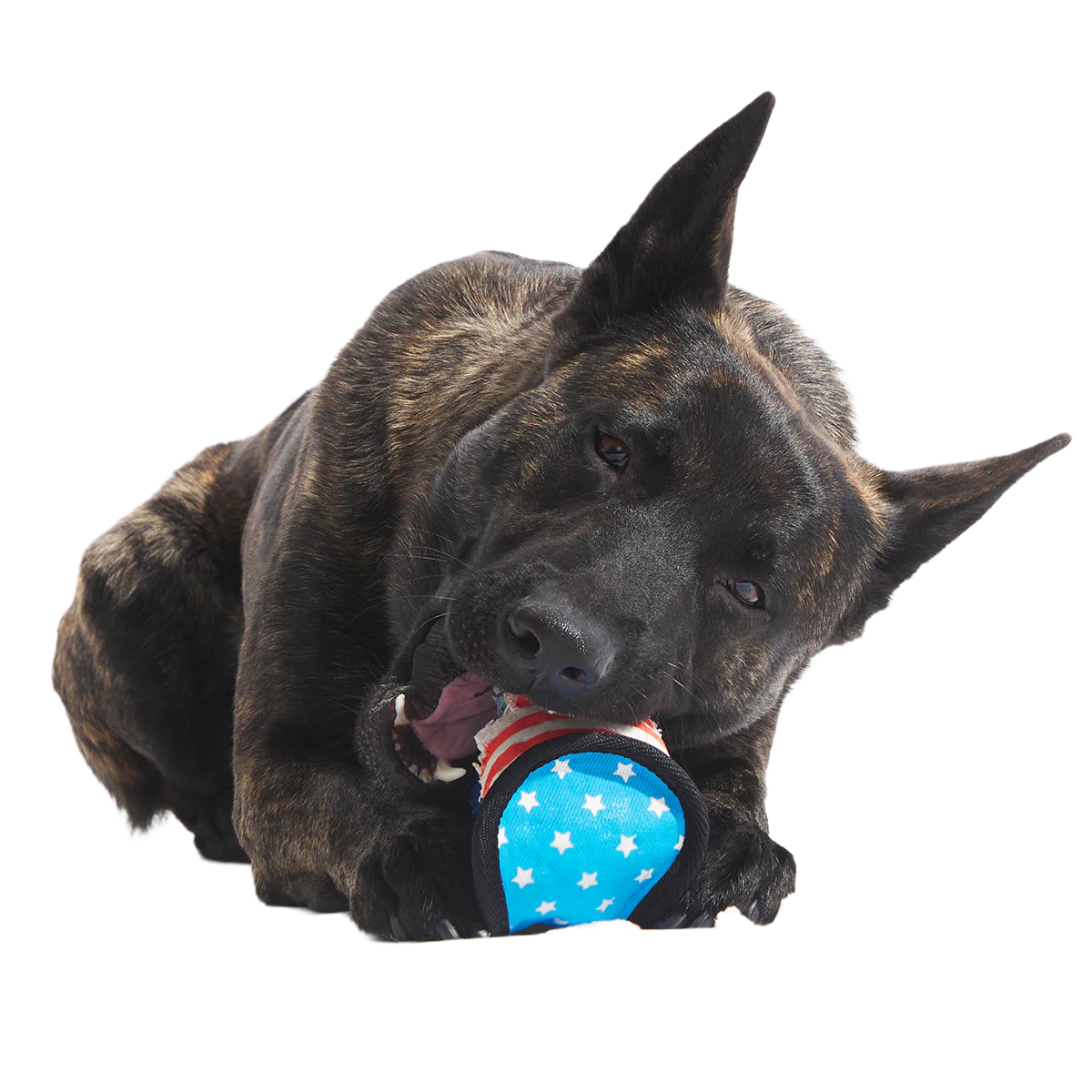 Base Brawl Super Chewer Durable 2-in-1 Fetch Dog Toy - Image 3
