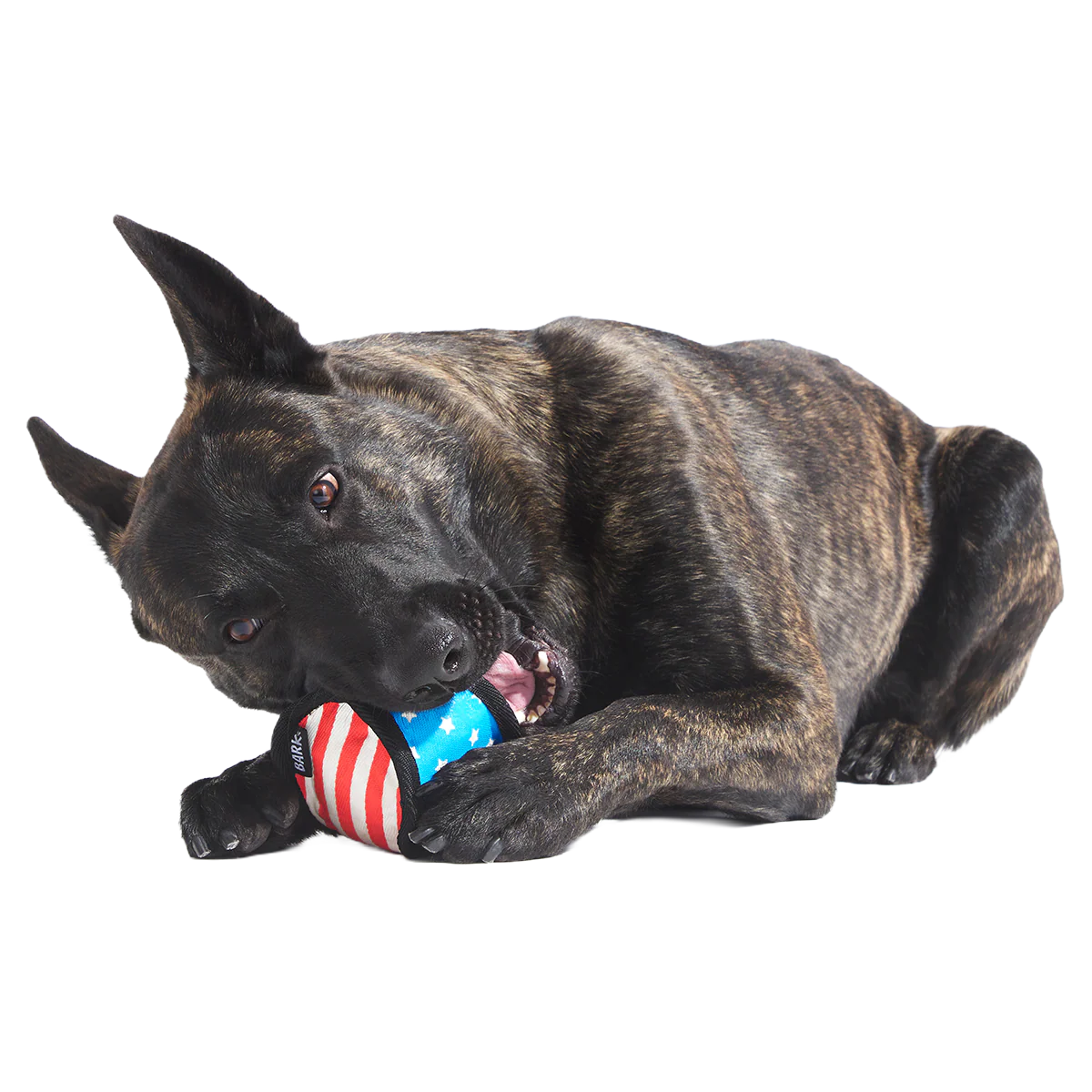 Base Brawl Super Chewer Durable 2-in-1 Fetch Dog Toy - Image 4