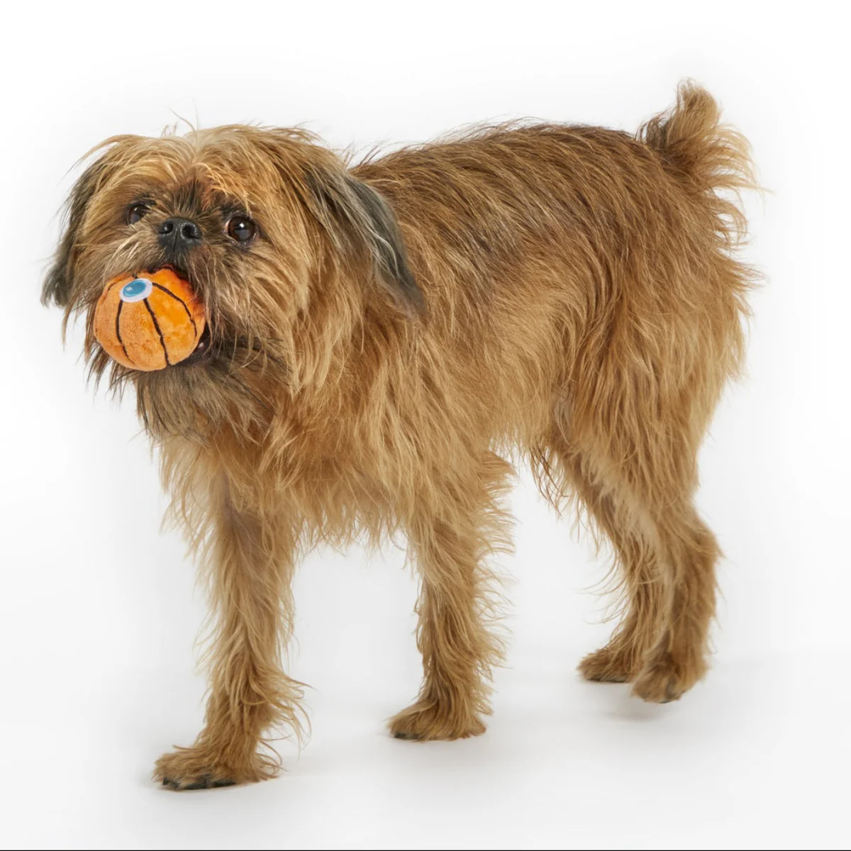 Drool & Dribble Basketball Plush Fetch Dog Toy - Image 2