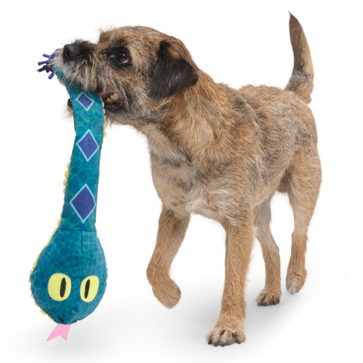 Bea The Titanoboa Plush Tug Dog Toy - Image 2