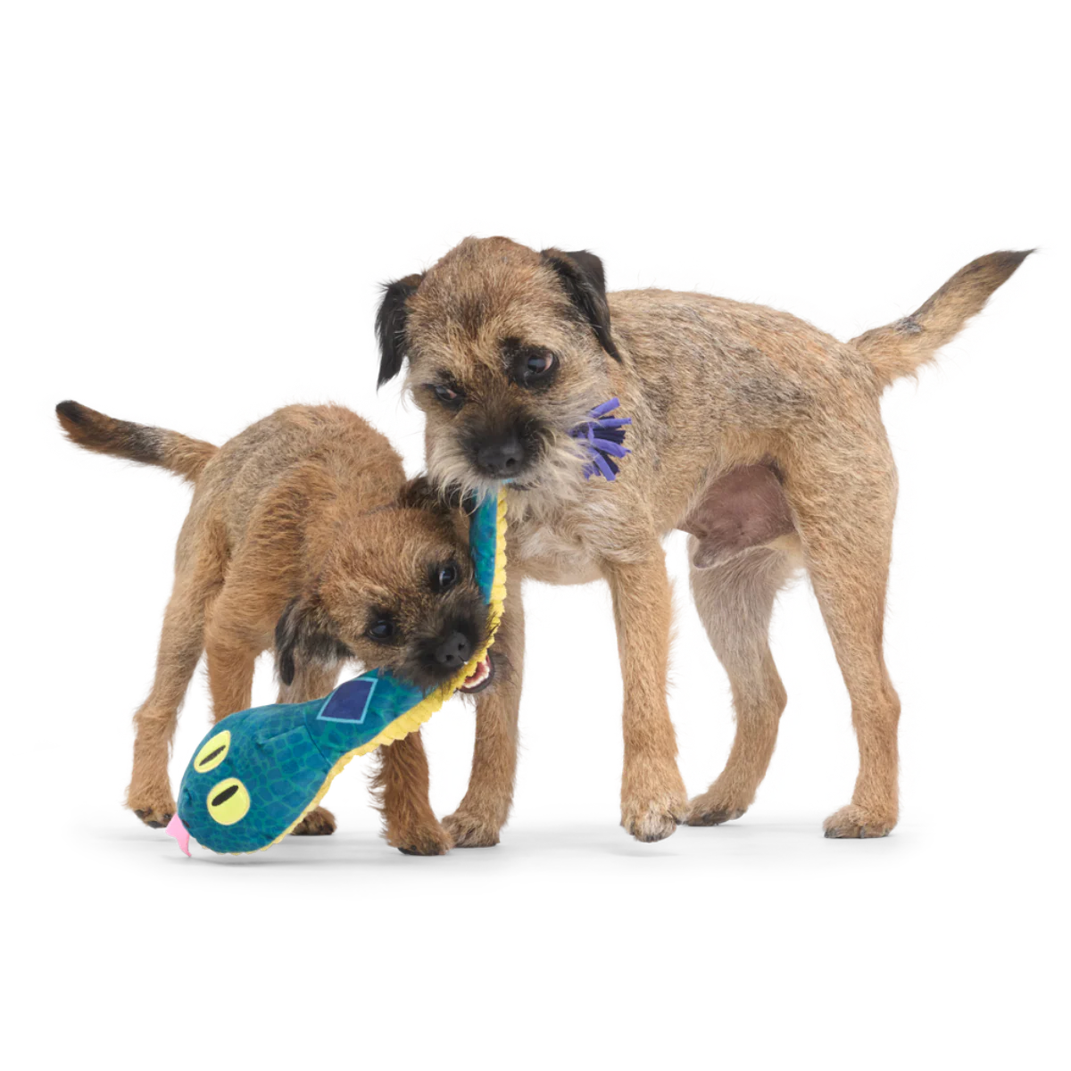Bea The Titanoboa Plush Tug Dog Toy - Image 3