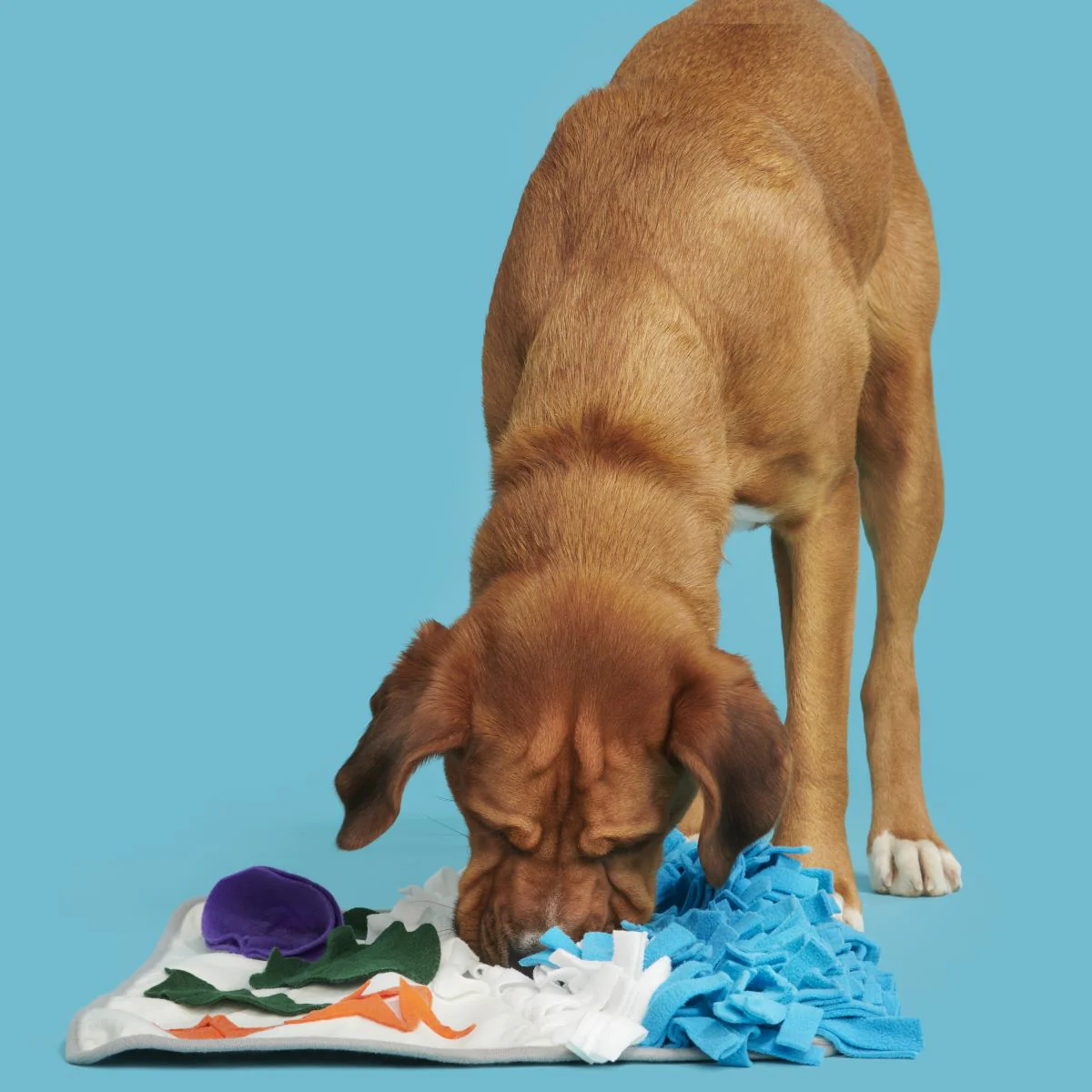 Beach Snuffle Mat Plush Enrichment Dog Toy - Image 4