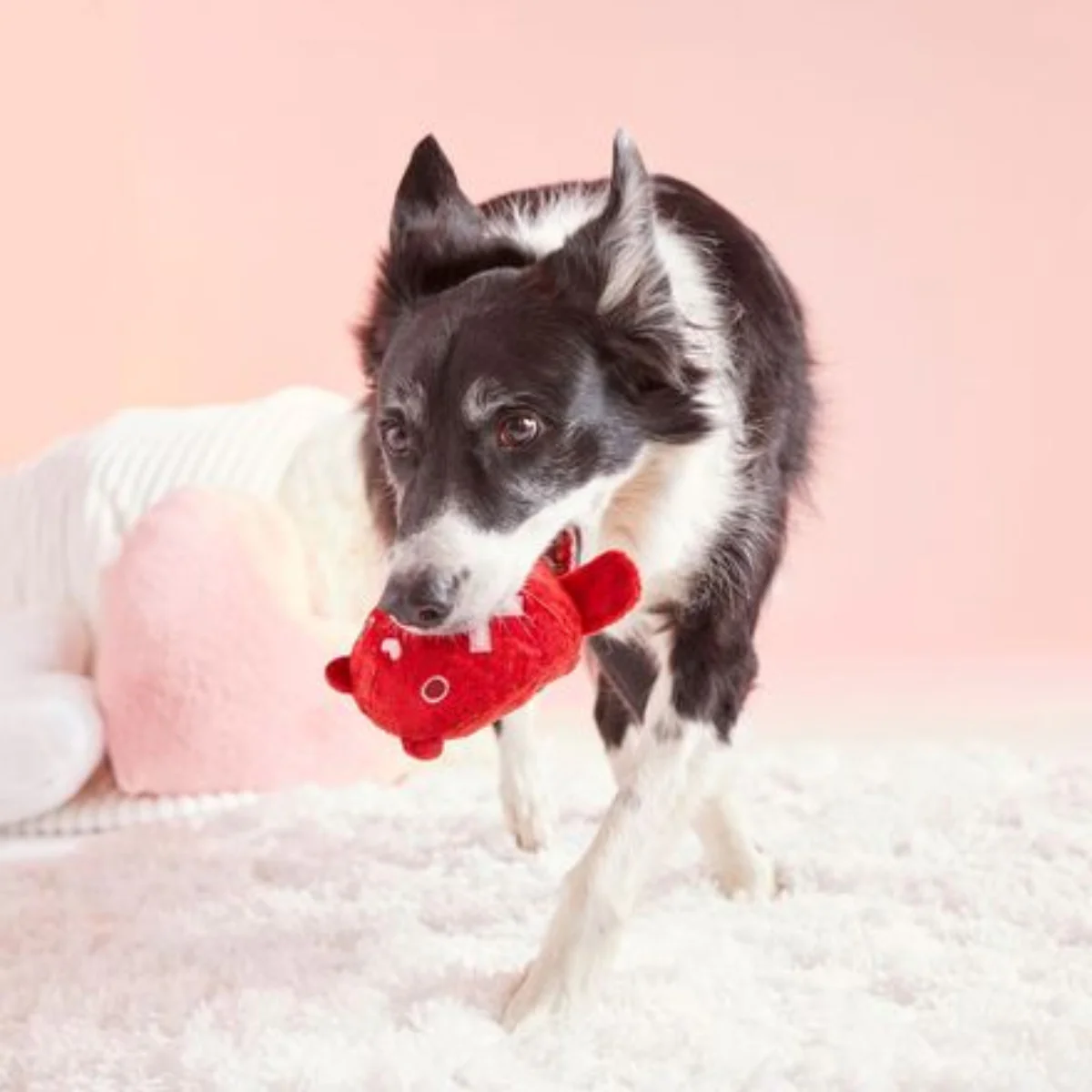 Bear Hugger Durable Super Chewer 2-in-1 Rip and Reveal + Enrichment Dog Toy - Image 4