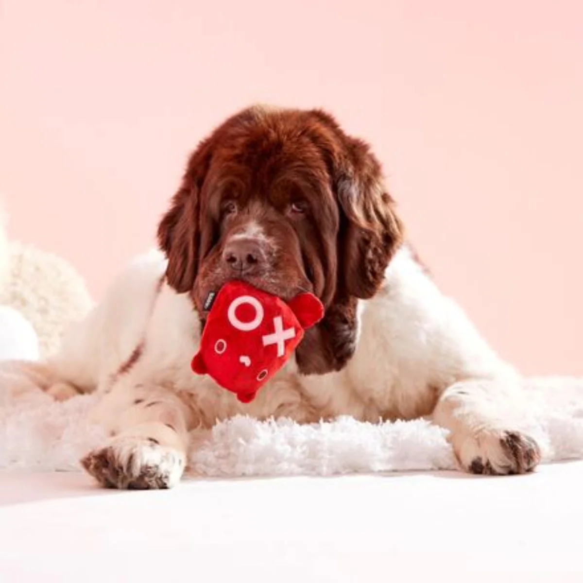 Bear Hugger Durable Super Chewer 2-in-1 Rip and Reveal + Enrichment Dog Toy - Image 5