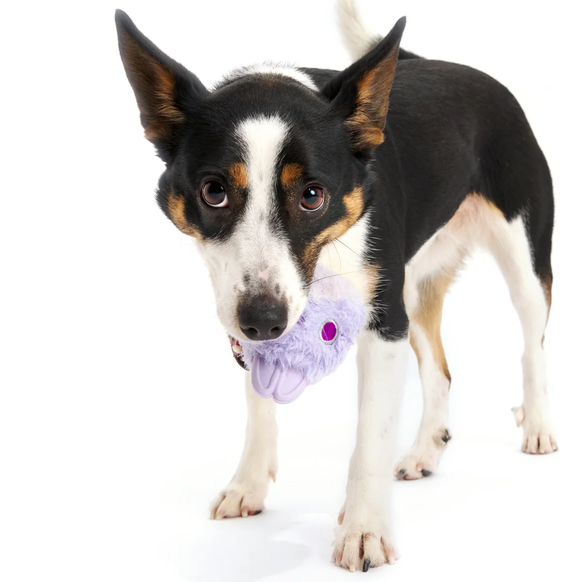 Beaster Bunny Super Chewer Durable 2-in-1 + Enrichment Dog Toy - Image 2