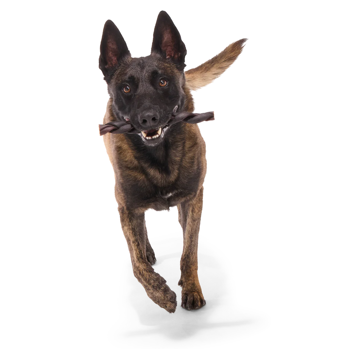 Beef Braided Collagen Dog Chews, 5 Ct - Image 11