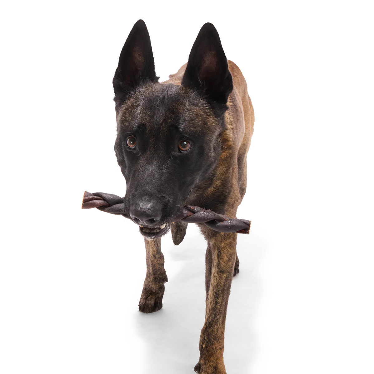 Beef Braided Collagen Dog Chews, 5 Ct - Image 12