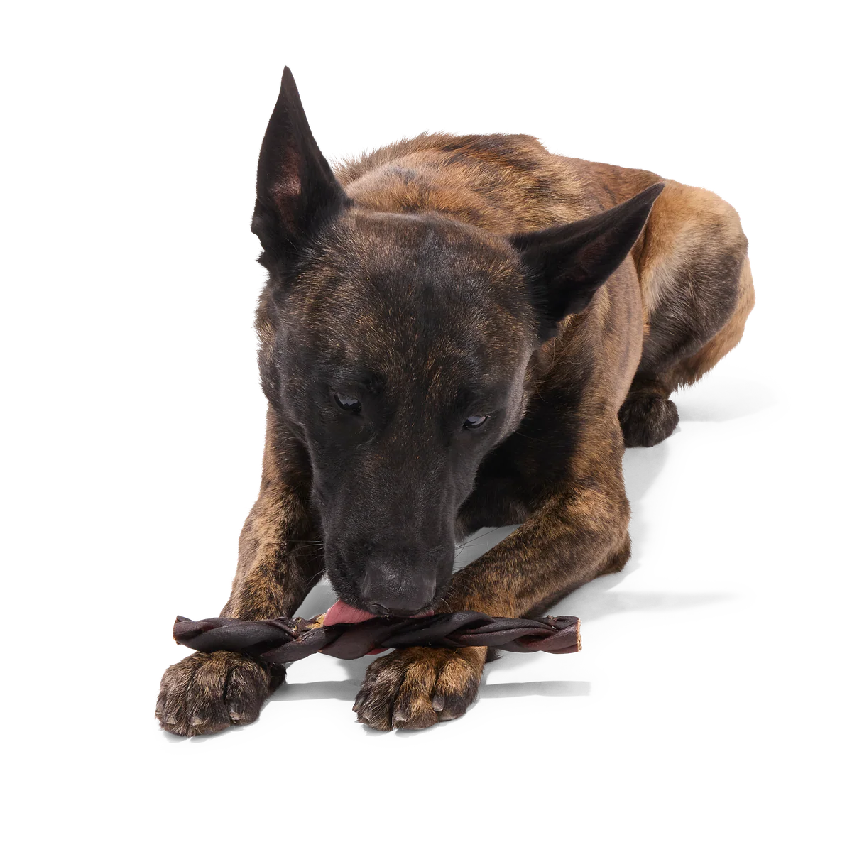 Beef Braided Collagen Dog Chews, 5 Ct - Image 13
