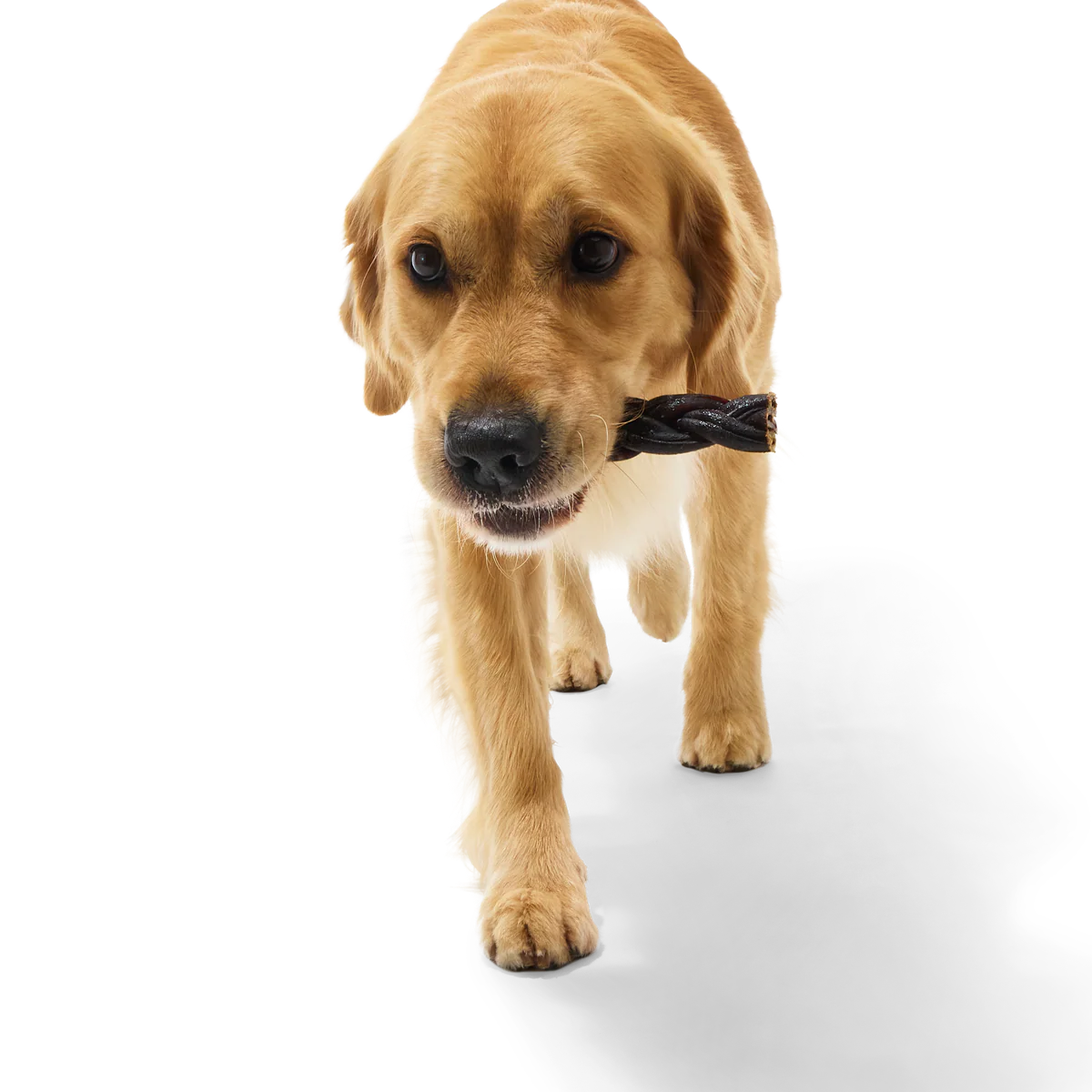 Beef Braided Collagen Dog Chews, 5 Ct - Image 3