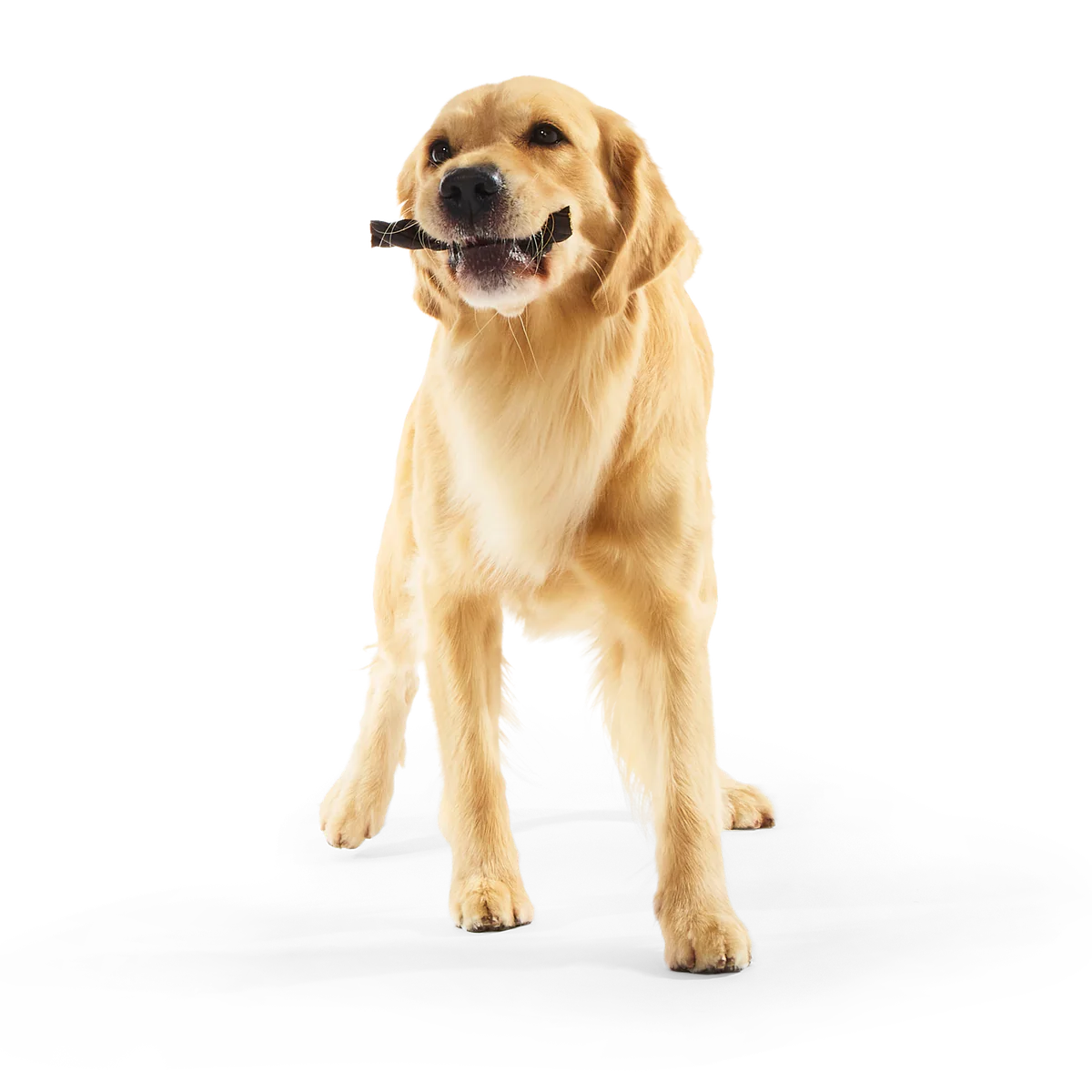 Beef Braided Collagen Dog Chews, 5 Ct - Image 4