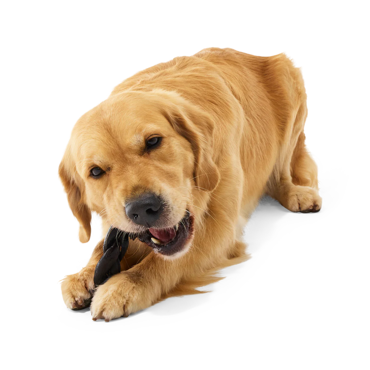 Beef Braided Collagen Dog Chews, 5 Ct - Image 5