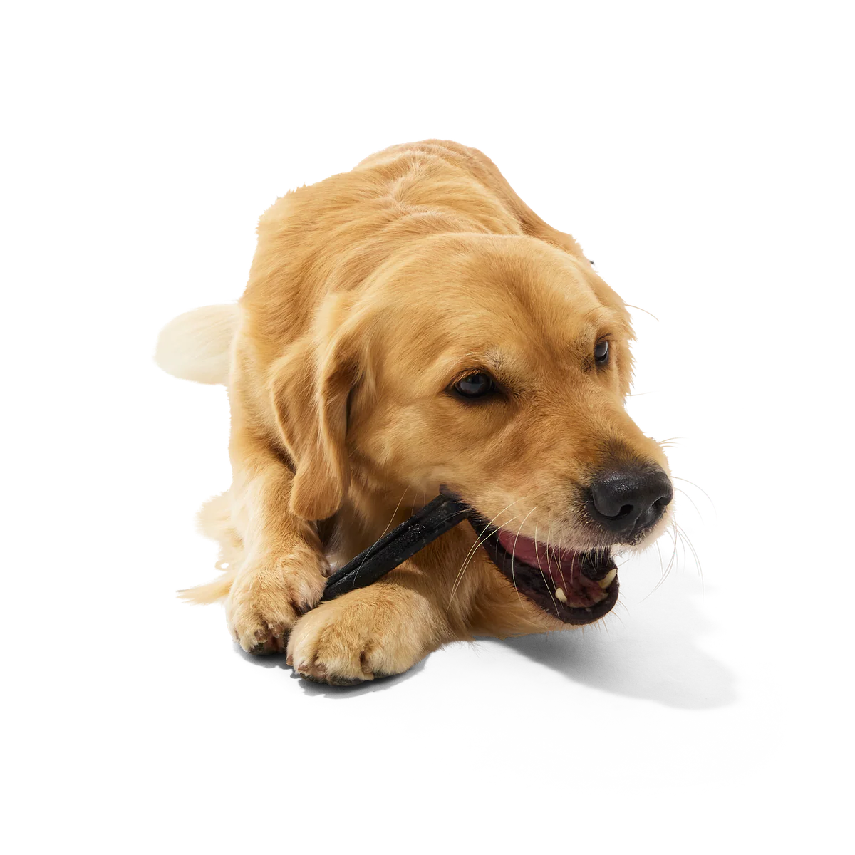 Beef Collagen Dog Chews, 5 Ct - Image 10