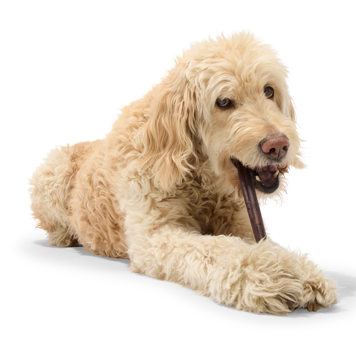 Beef Collagen Dog Chews, 5 Ct - Image 11