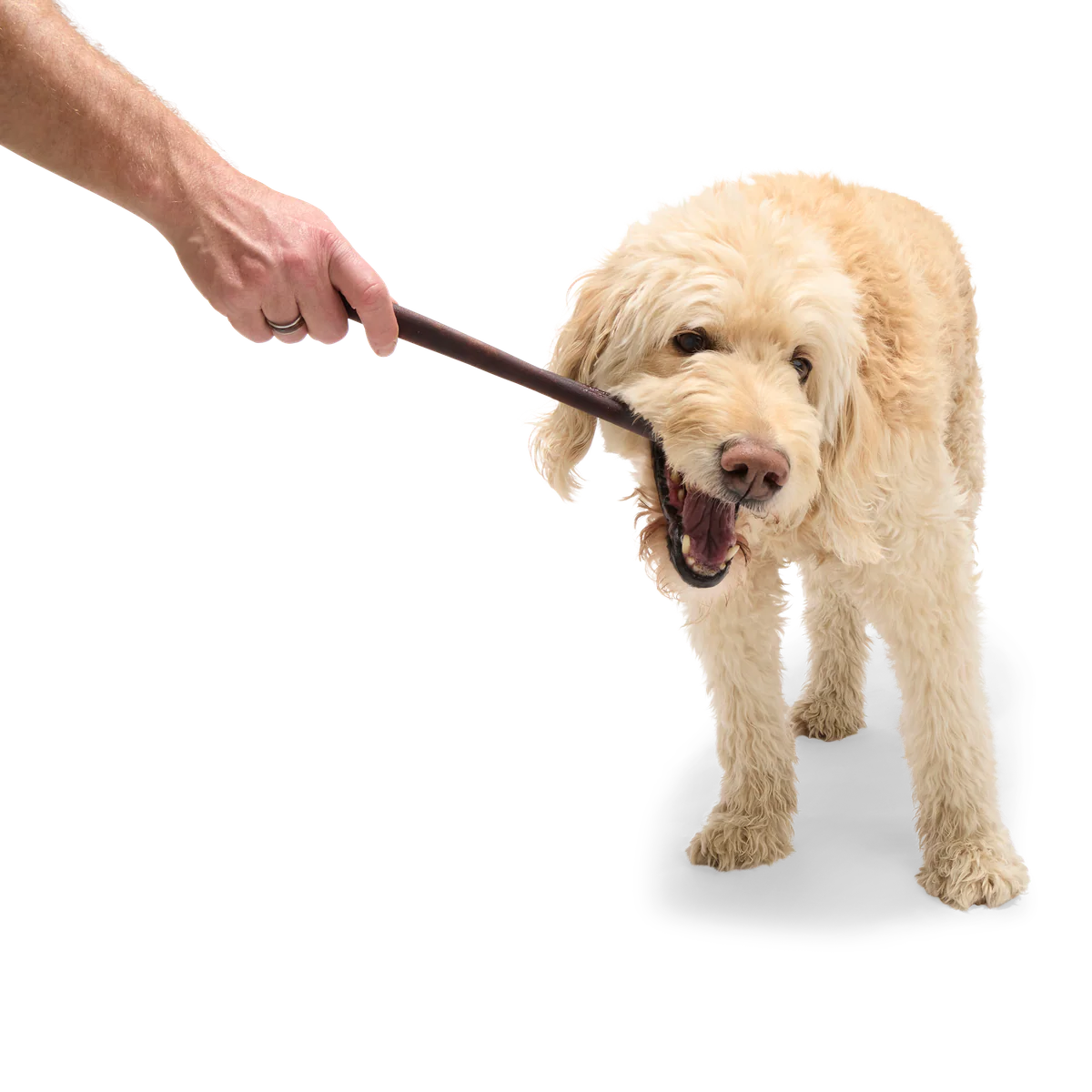 Beef Collagen Dog Chews, 5 Ct - Image 12