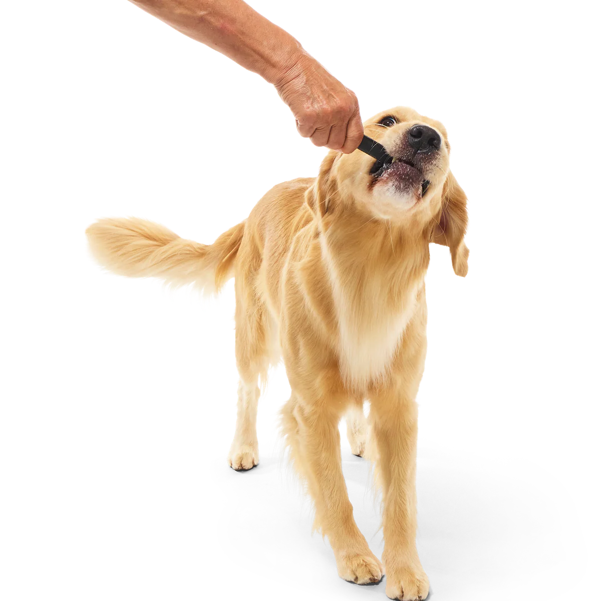 Beef Collagen Dog Chews, 5 Ct - Image 3