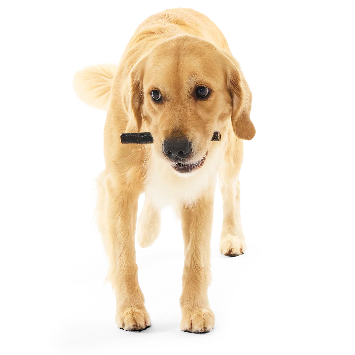 Beef Collagen Dog Chews, 5 Ct - Image 4