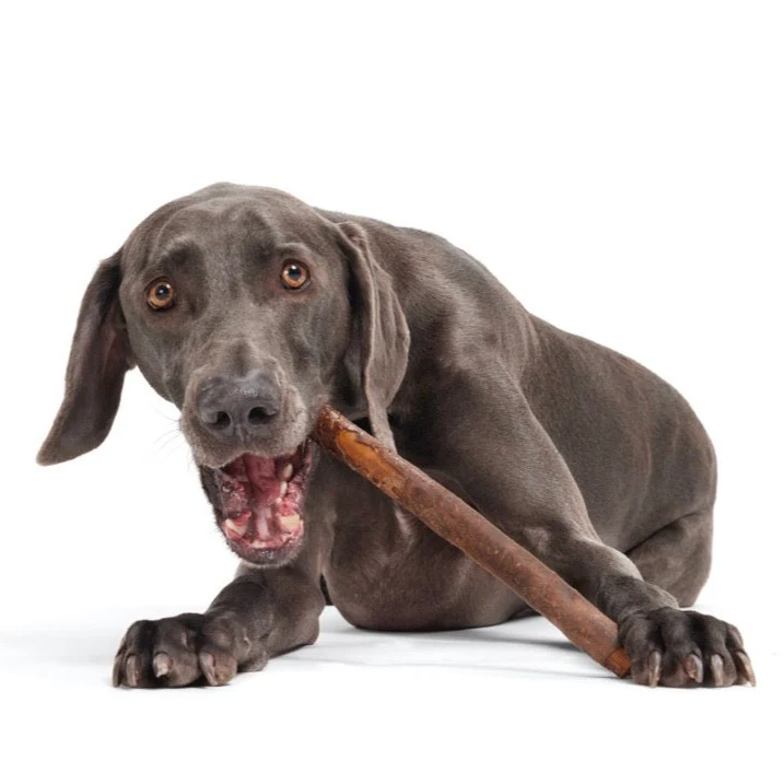 Beefy Chewin' Collagen Chew & Bully Stick - Image 3