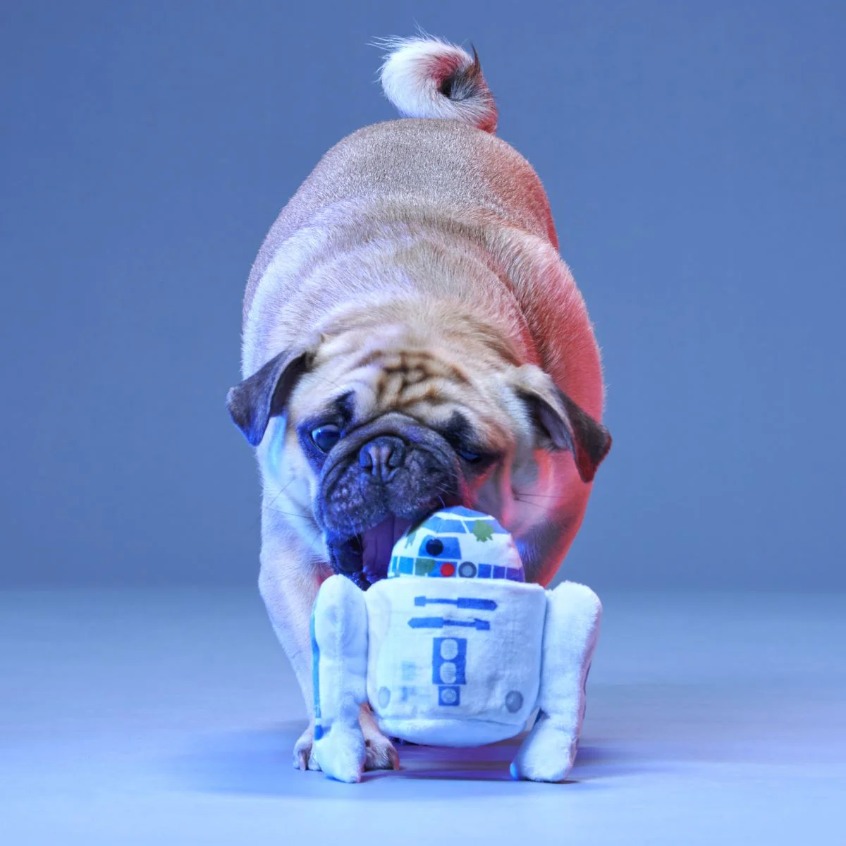 Beep Boop Squeak Plush Multi-Part + Fetch Dog Toy - Image 4
