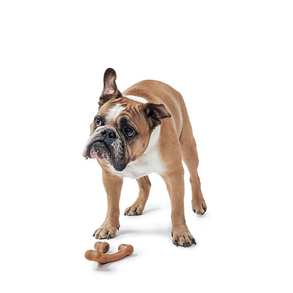 Bacon Benebone Durable Super Chewer Dog Toy - Image 4
