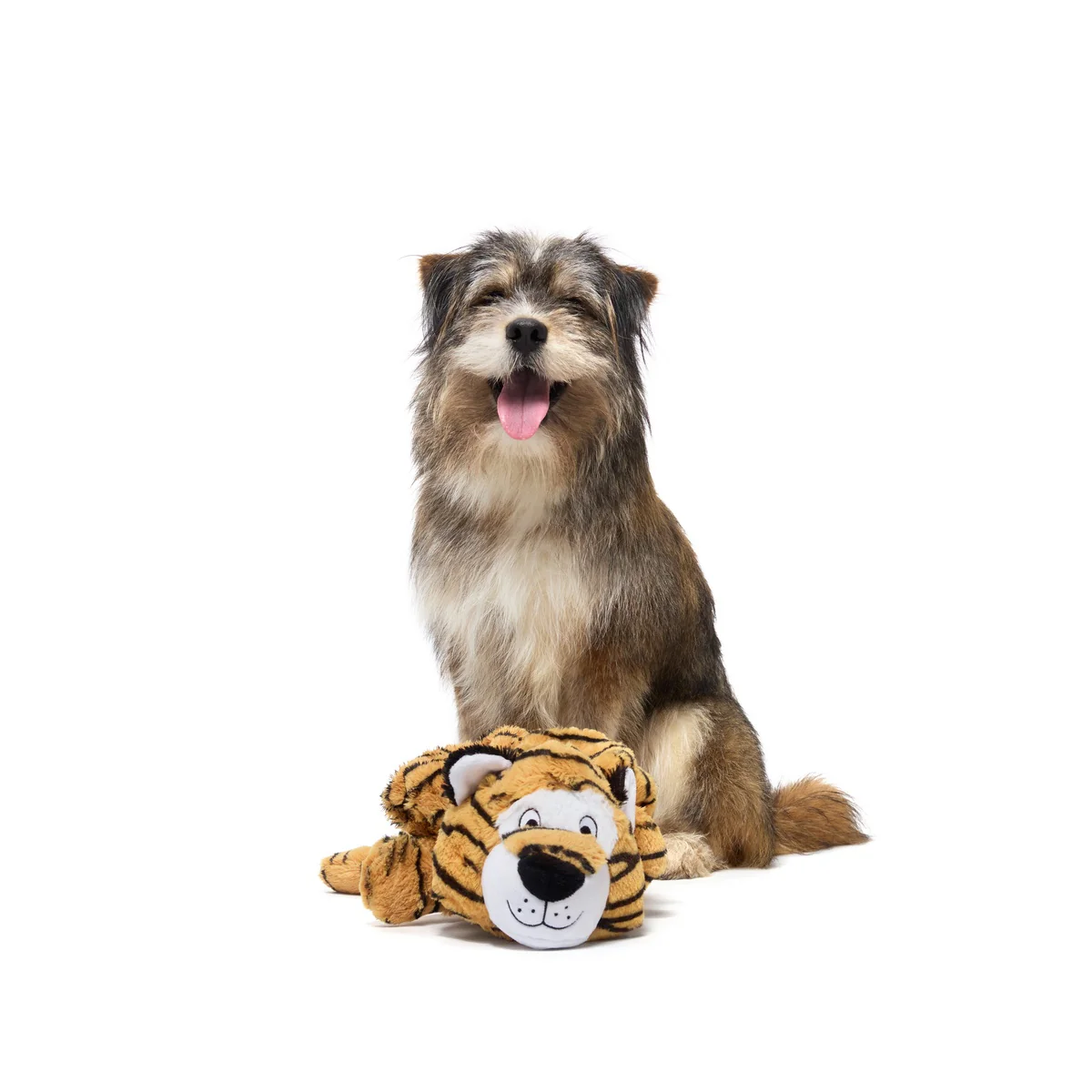Benji the Bouncing Tiger Plush Extra-Large + Tug Dog Toy - Image 2