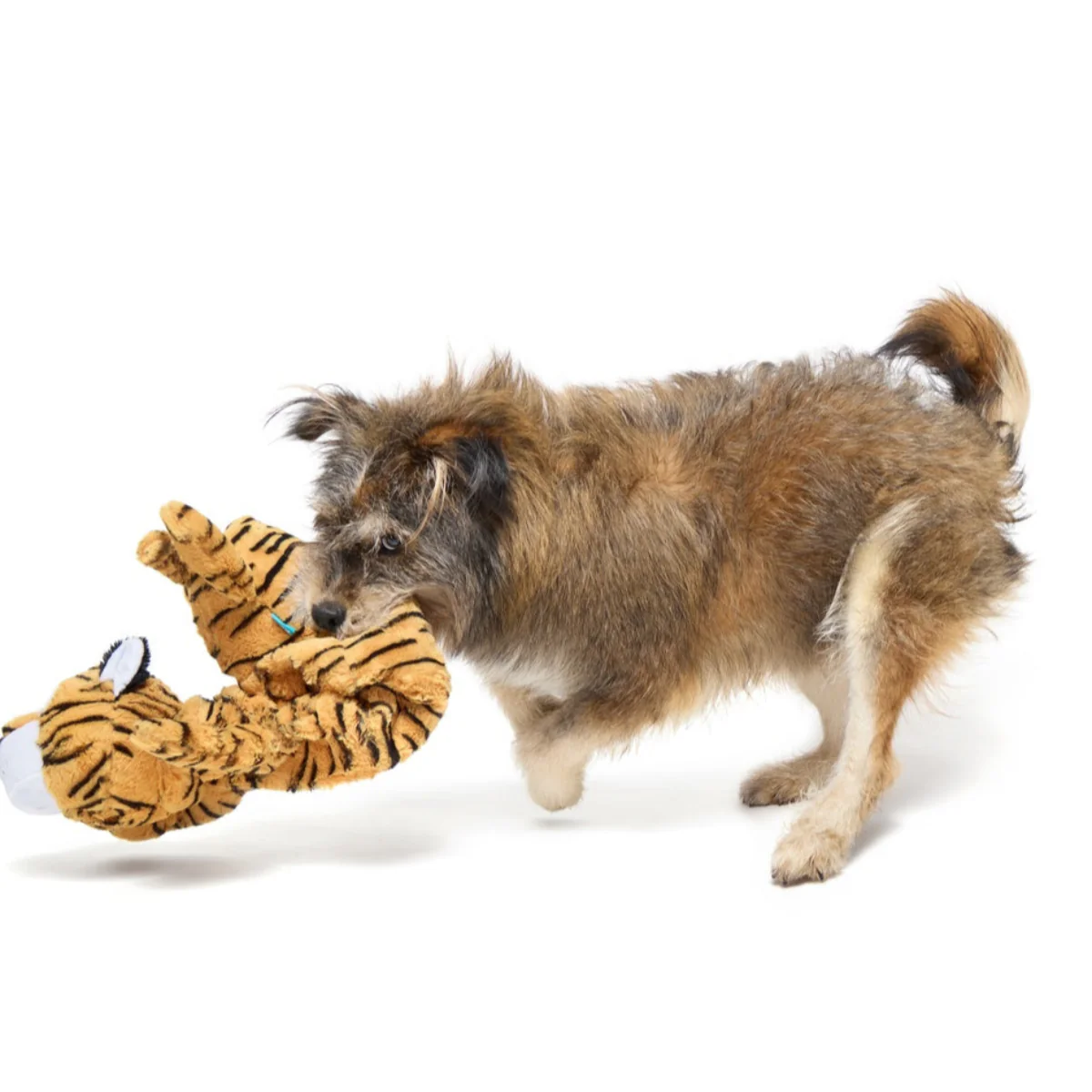 Benji the Bouncing Tiger Plush Extra-Large + Tug Dog Toy - Image 3